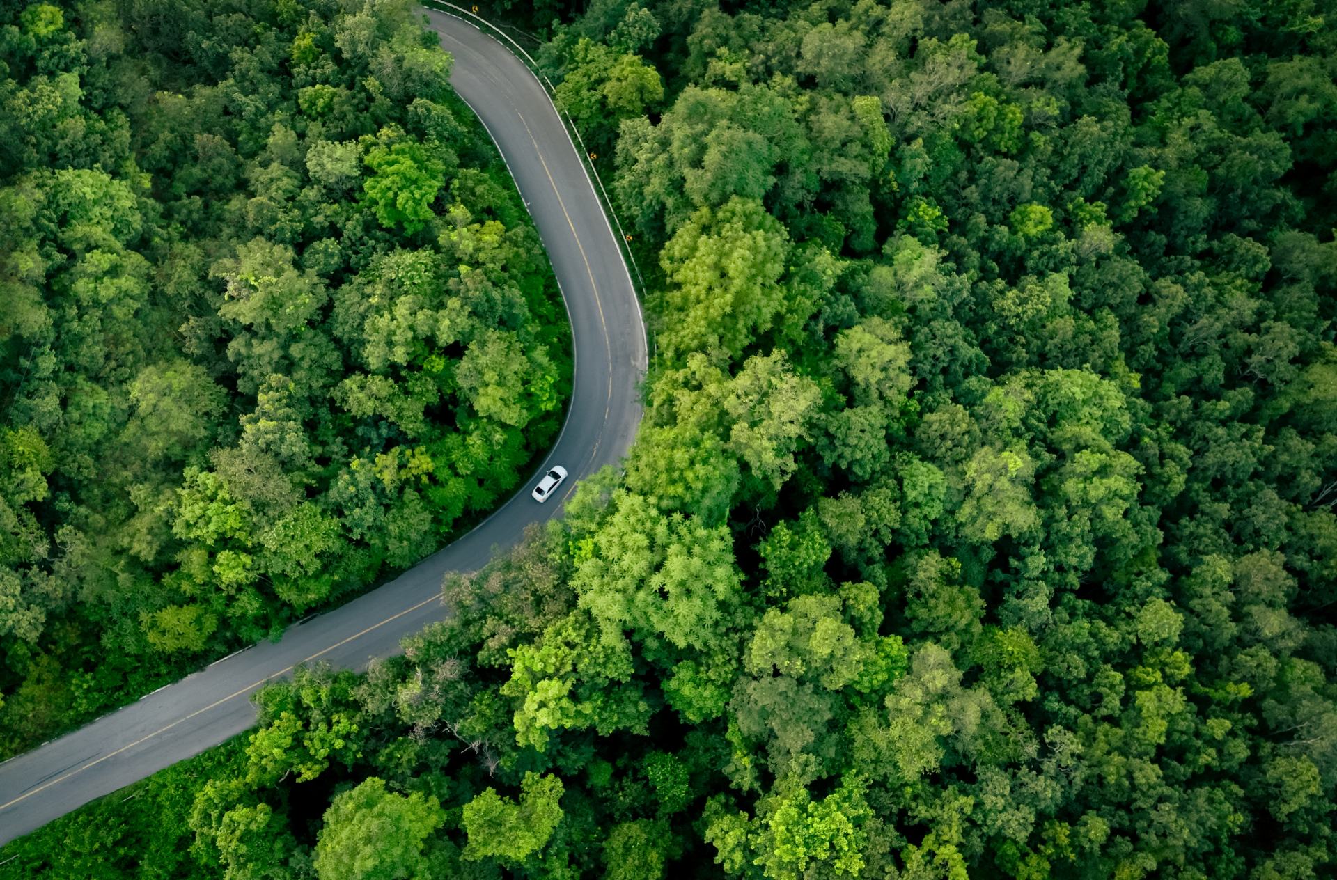 Luftaufnahme eines Elektrofahrzeugs auf einer Landstraße inmitten eines grünen Waldes.